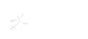 North American Bushcraft School